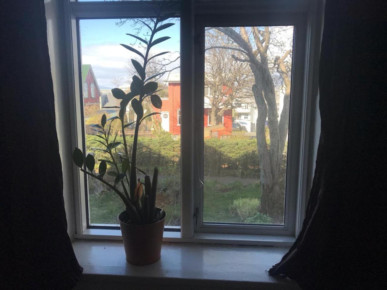 Homestay Angelica